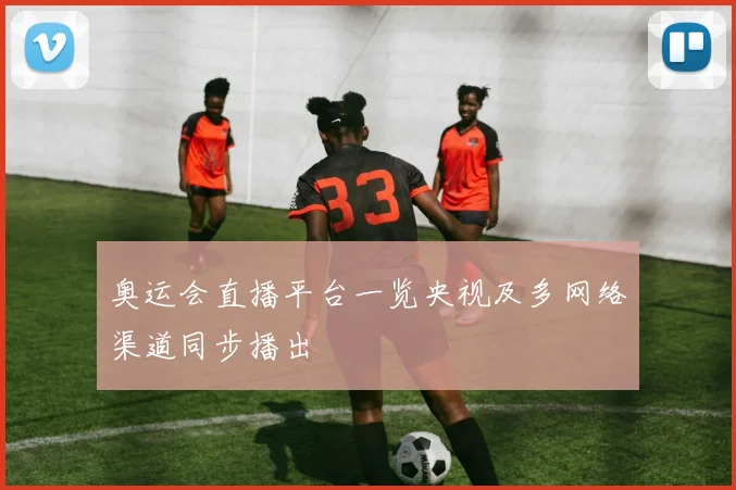 奥运会直播平台一览央视及多网络渠道同步播出