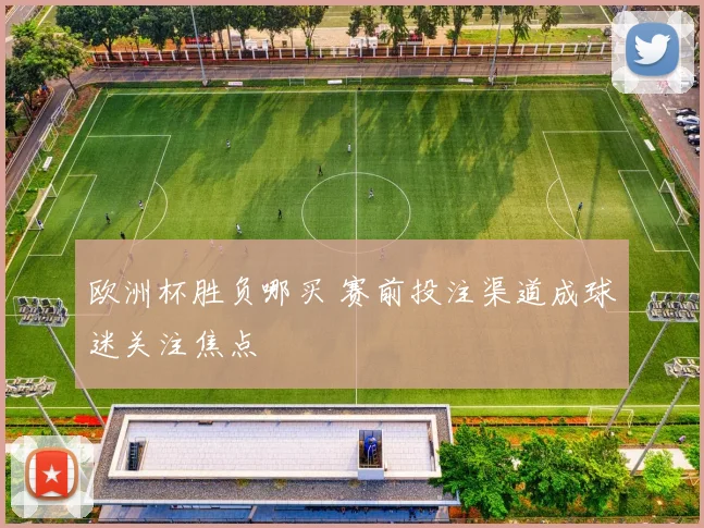 欧洲杯胜负哪买 赛前投注渠道成球迷关注焦点