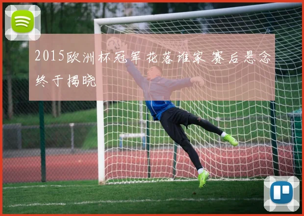 2015欧洲杯冠军花落谁家 赛后悬念终于揭晓