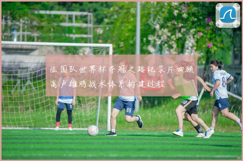 法国队世界杯夺冠之路纪录片回顾高卢雄鸡战术体系构建过程