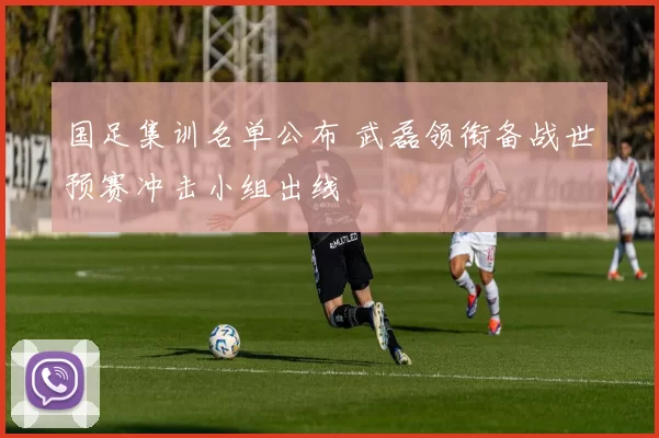 国足集训名单公布 武磊领衔备战世预赛冲击小组出线