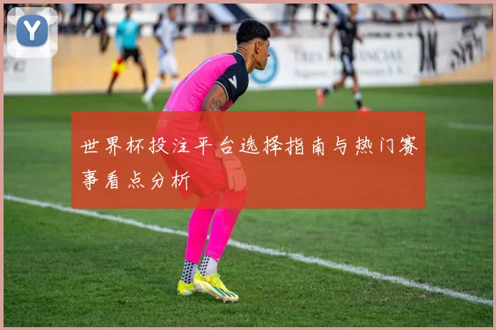 世界杯投注平台选择指南与热门赛事看点分析